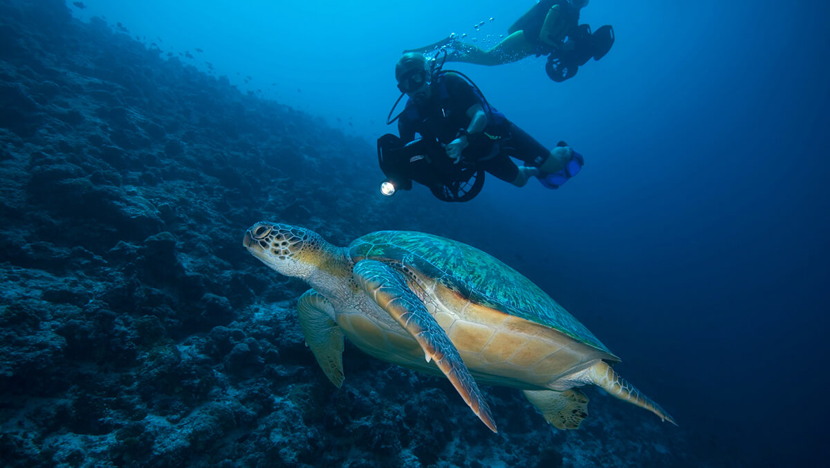 borneo sipadan mabul