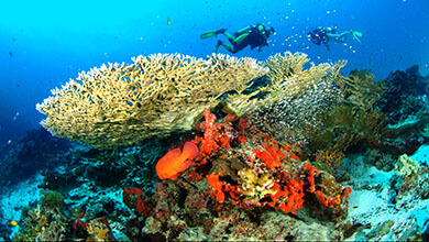 Similan