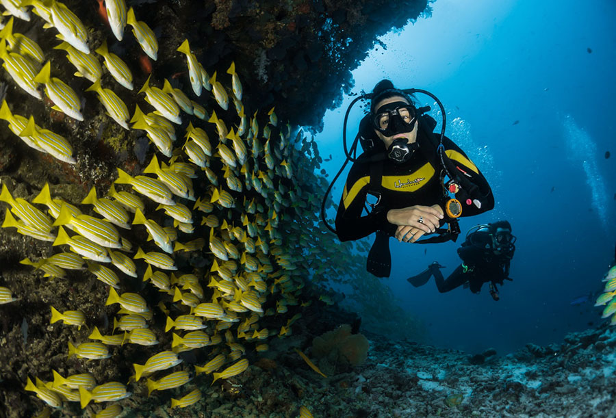 pass Maldive 