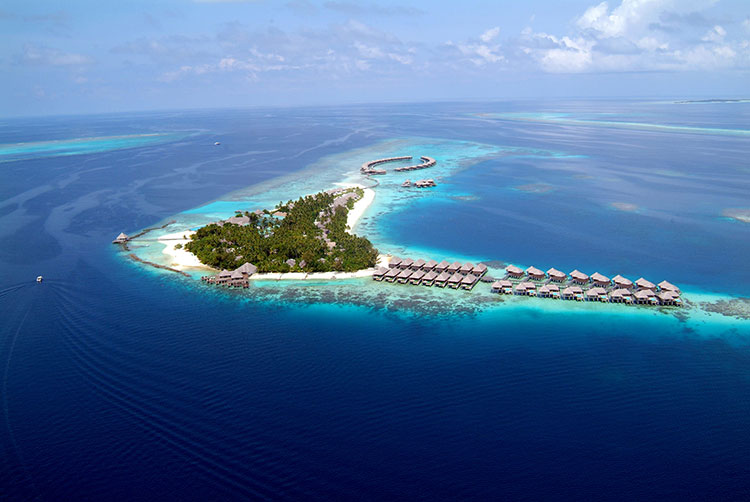 Offerte Coco Palm Bodu Hithi