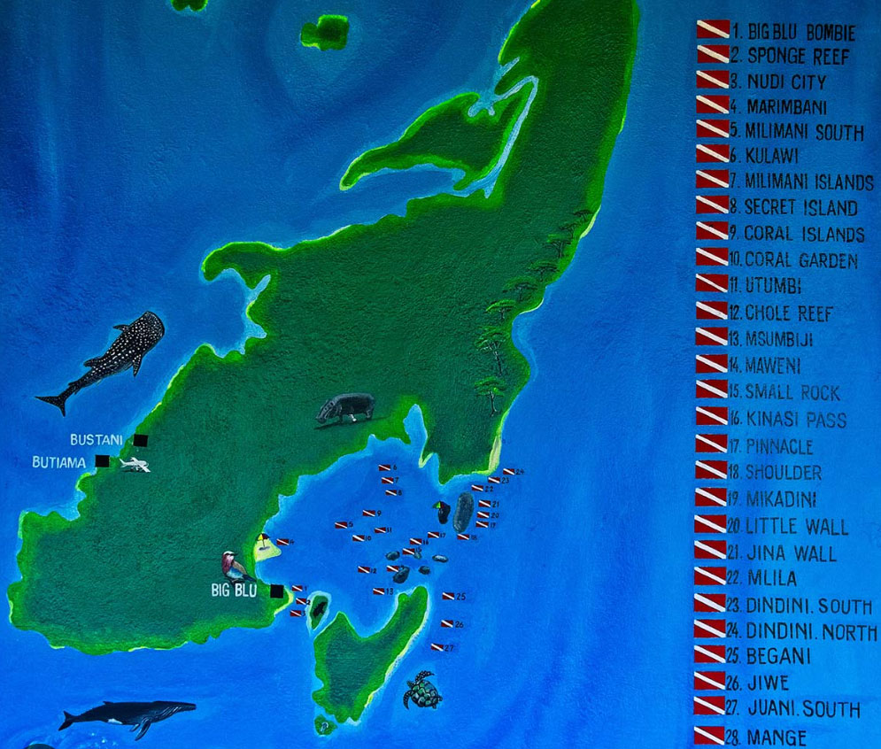 Tanzania Mappa